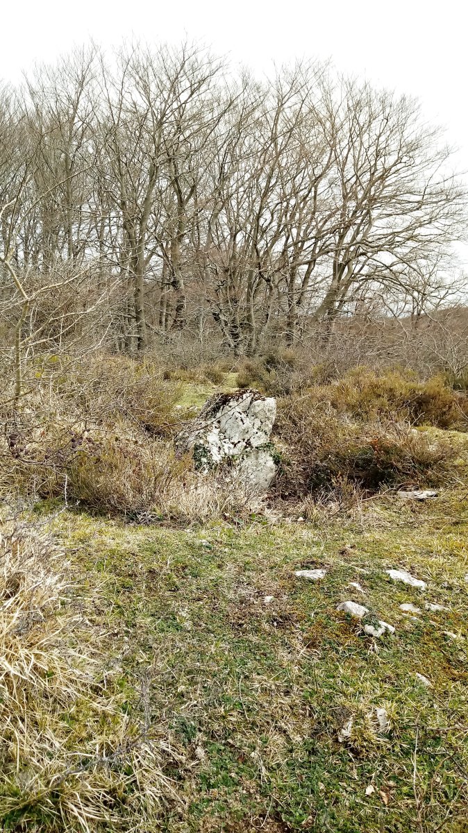 Lejazar Iparra trikuharria