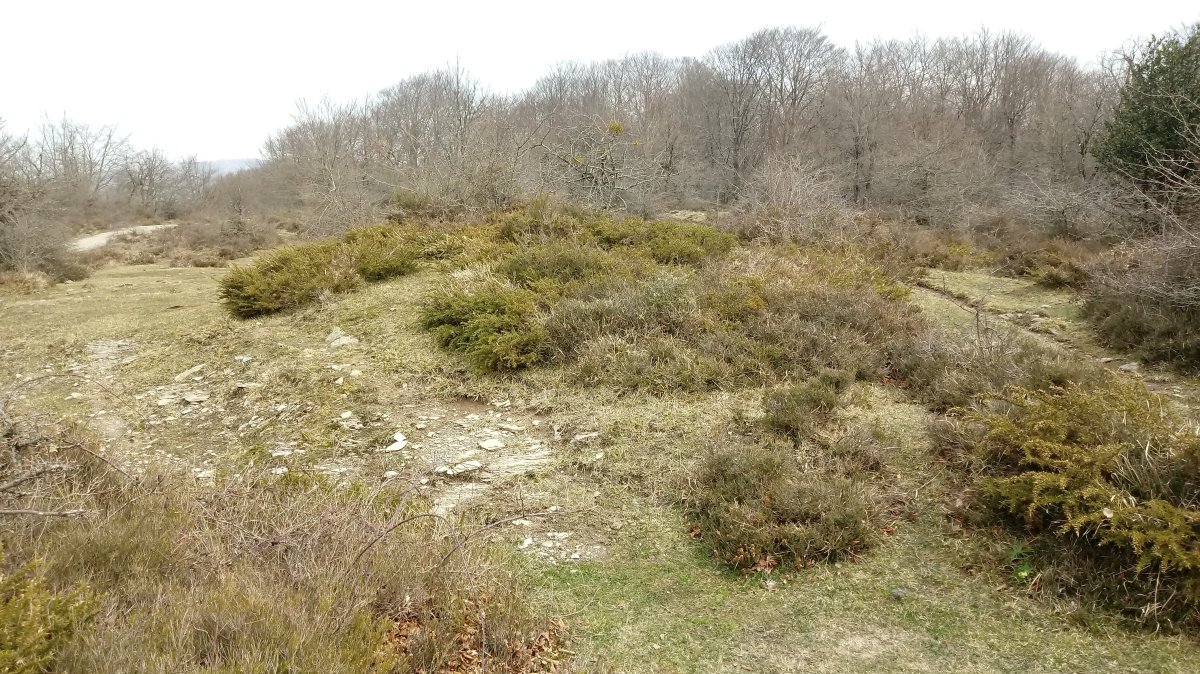 Untza II tumuloa (2018)