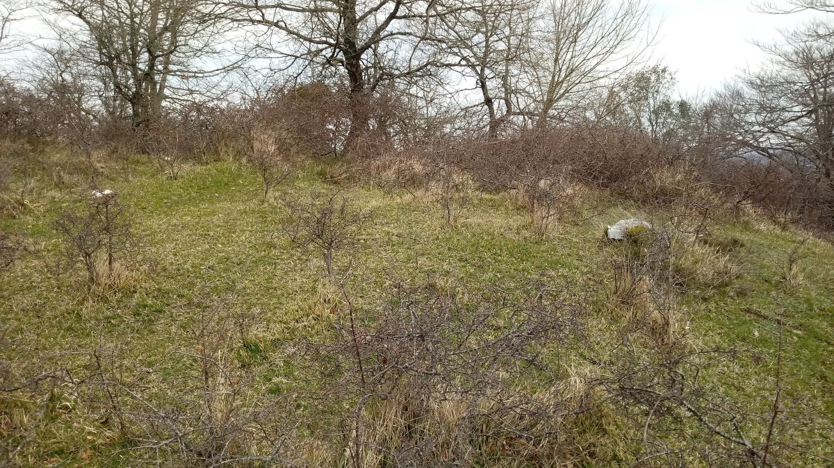 Larriluzea II tumuloa (2018)