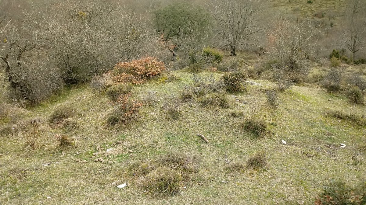 Berrekorta tumuloa (2018)