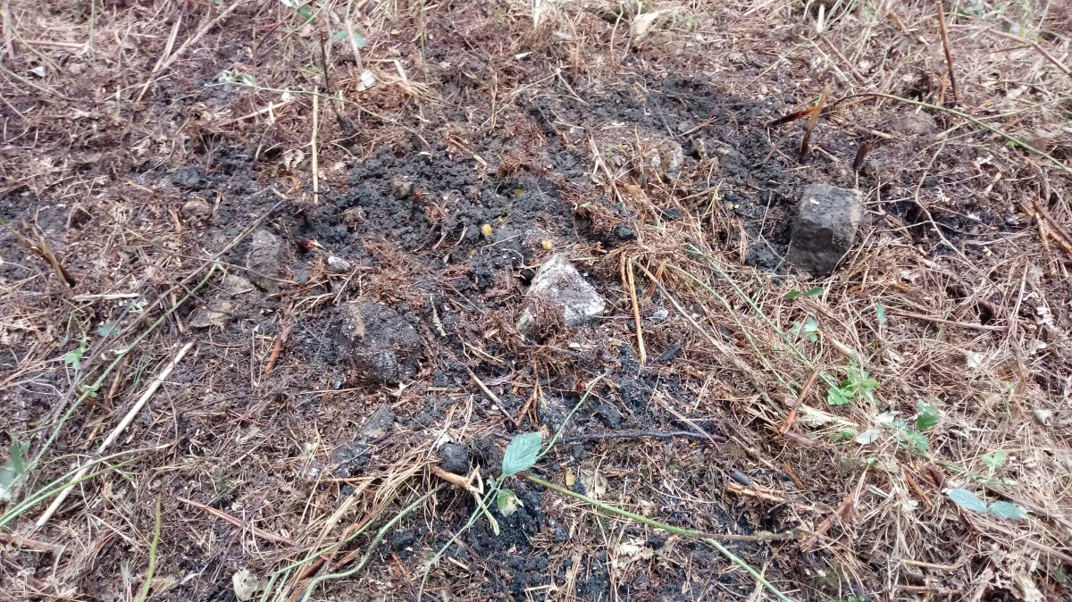 Ama Birjiñen Baso tumuloa (2018)