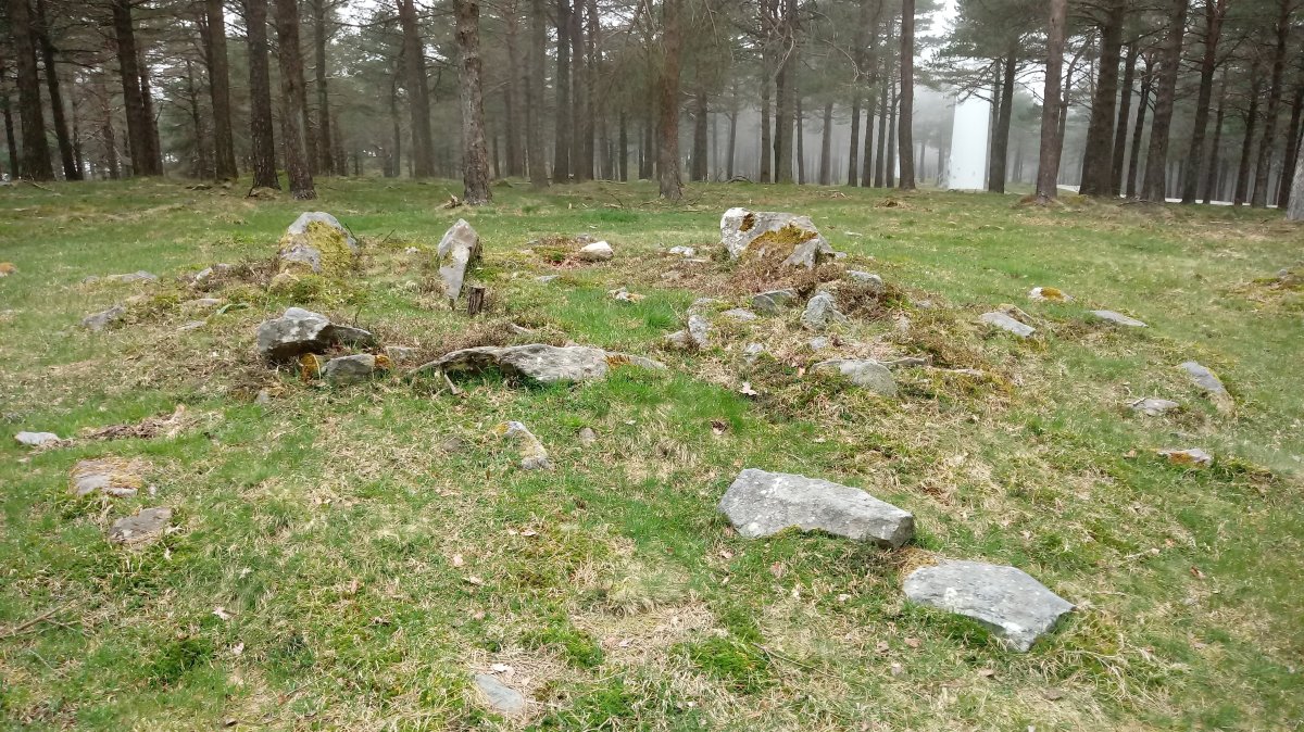 Iturzurigaña trikuharria 2