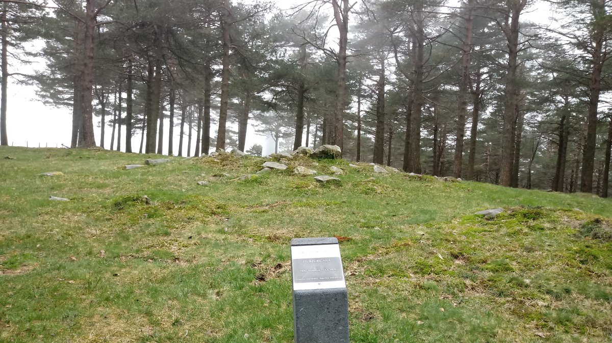 Iturzurigaña trikuharria (2018)