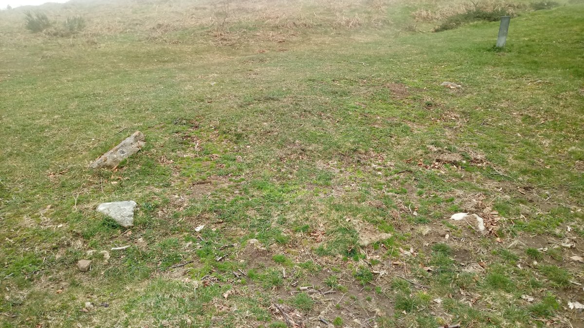 Probazelaiburu I trikuharria 3