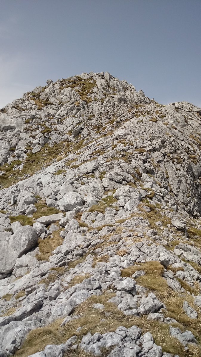 Adarraiz (1359m) tontorra