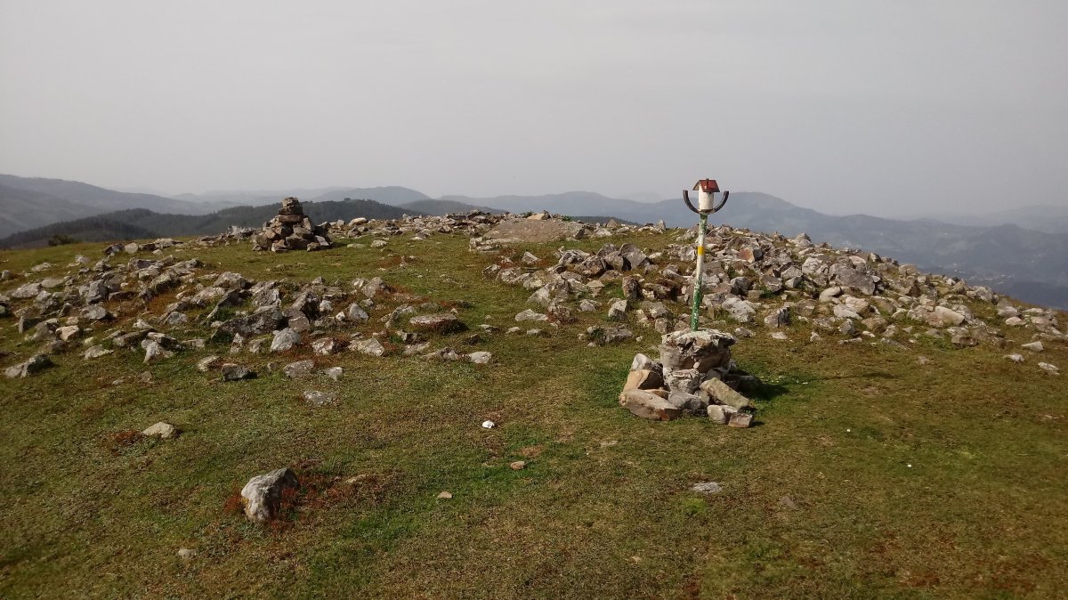 Oamendi Trikuharria 4