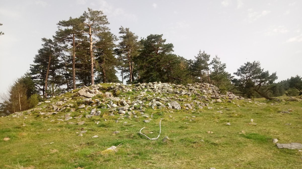 Irumugarrieta tumuloa 4