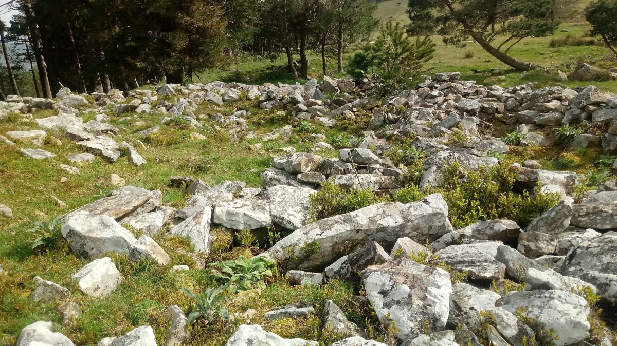 Irumugarrieta tumuloa 3