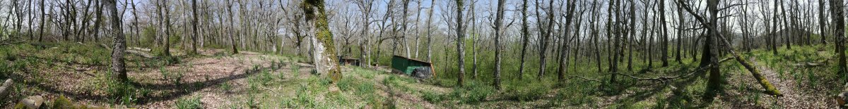 Lezeadenea gaineko panoramika