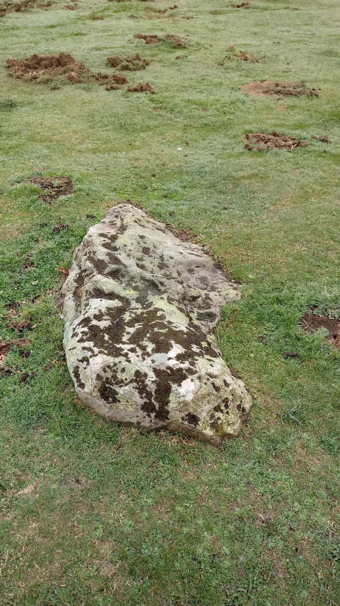 Elorrola zutarria 2