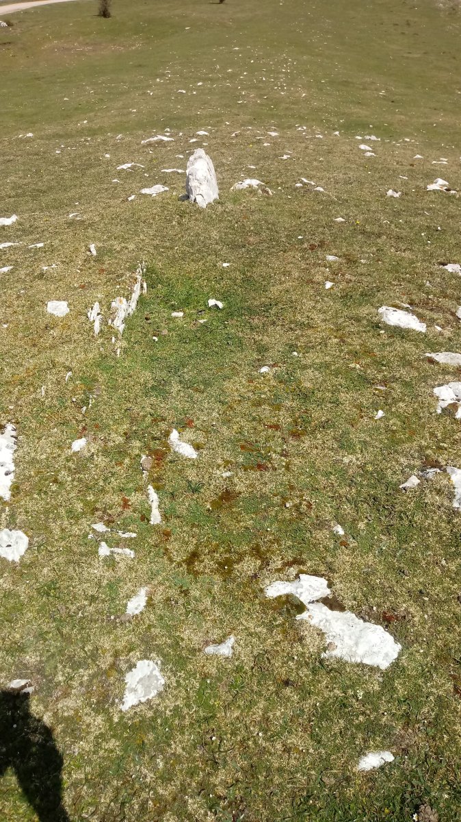 Sarasako Gañe trikuharria 3