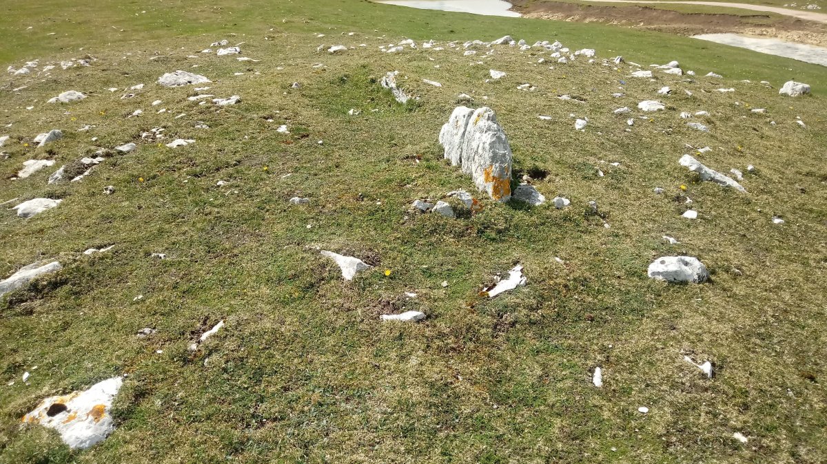 Sarasako Gañe trikuharria 2