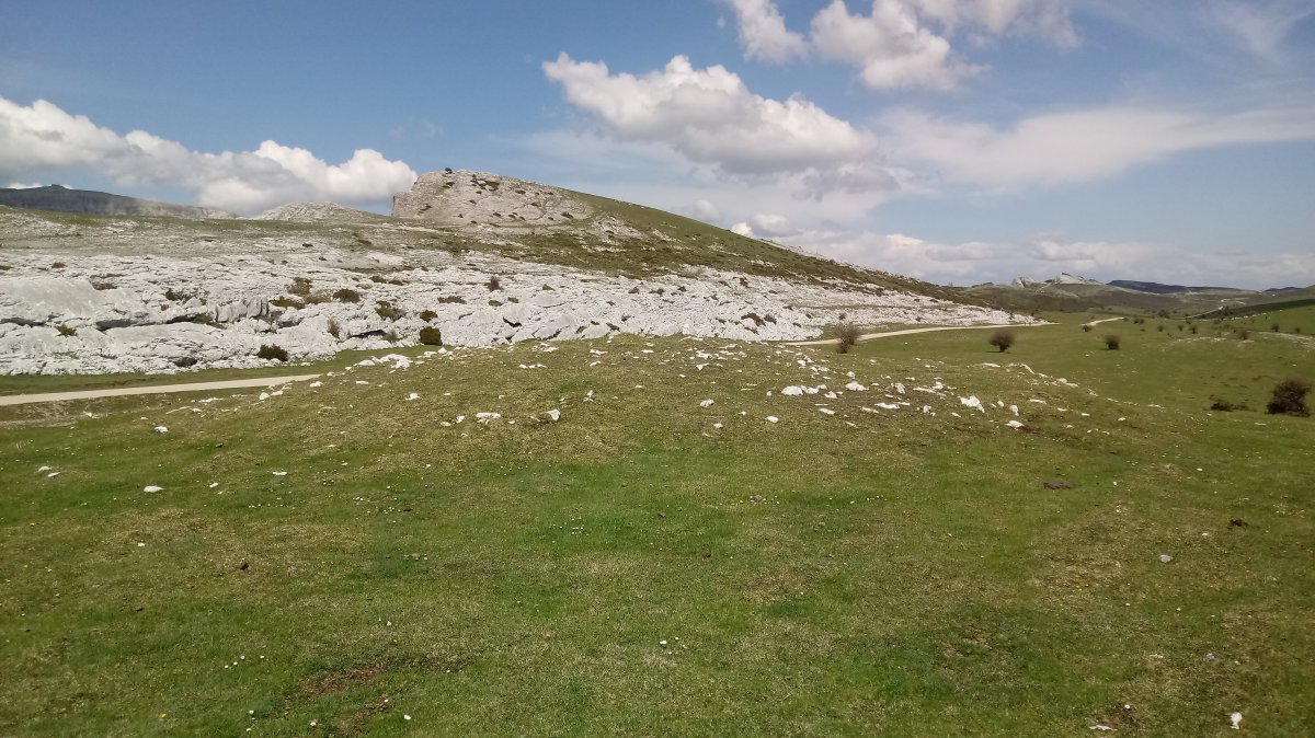 Sarasako Gañe trikuharria (2018)