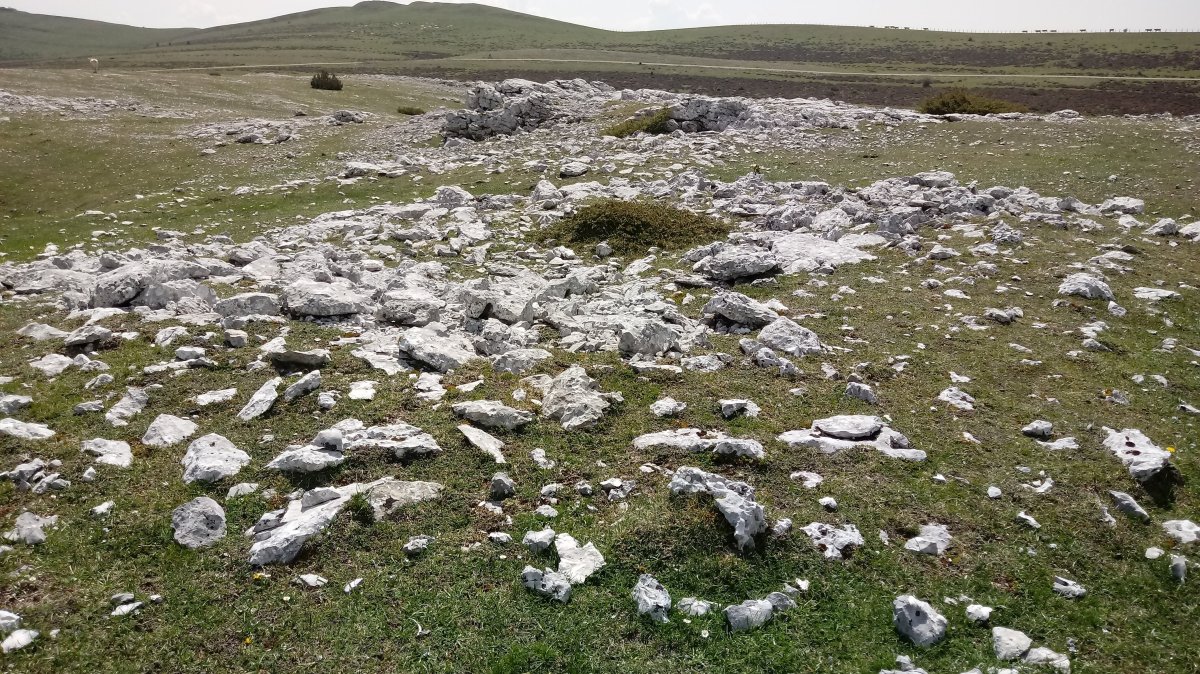 Aitzuri trikuharria (2018)