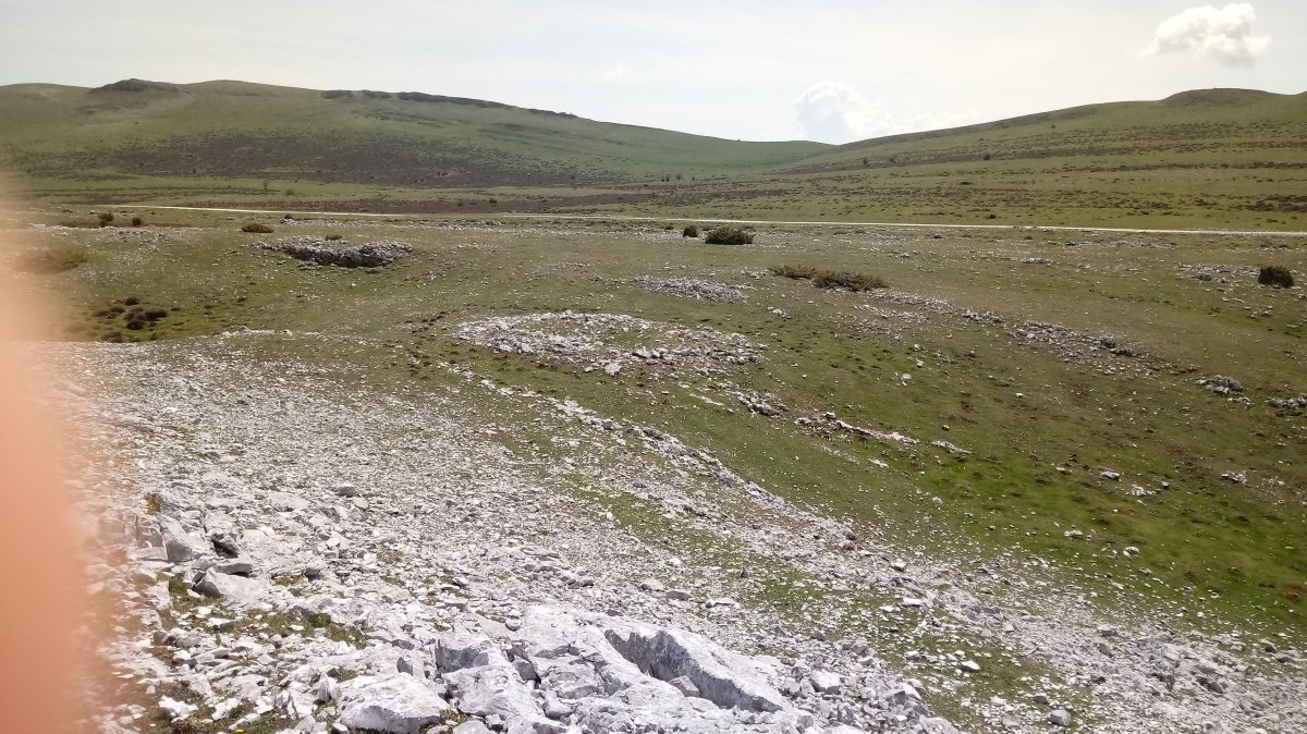 Peñablanca trikuharria (2018)