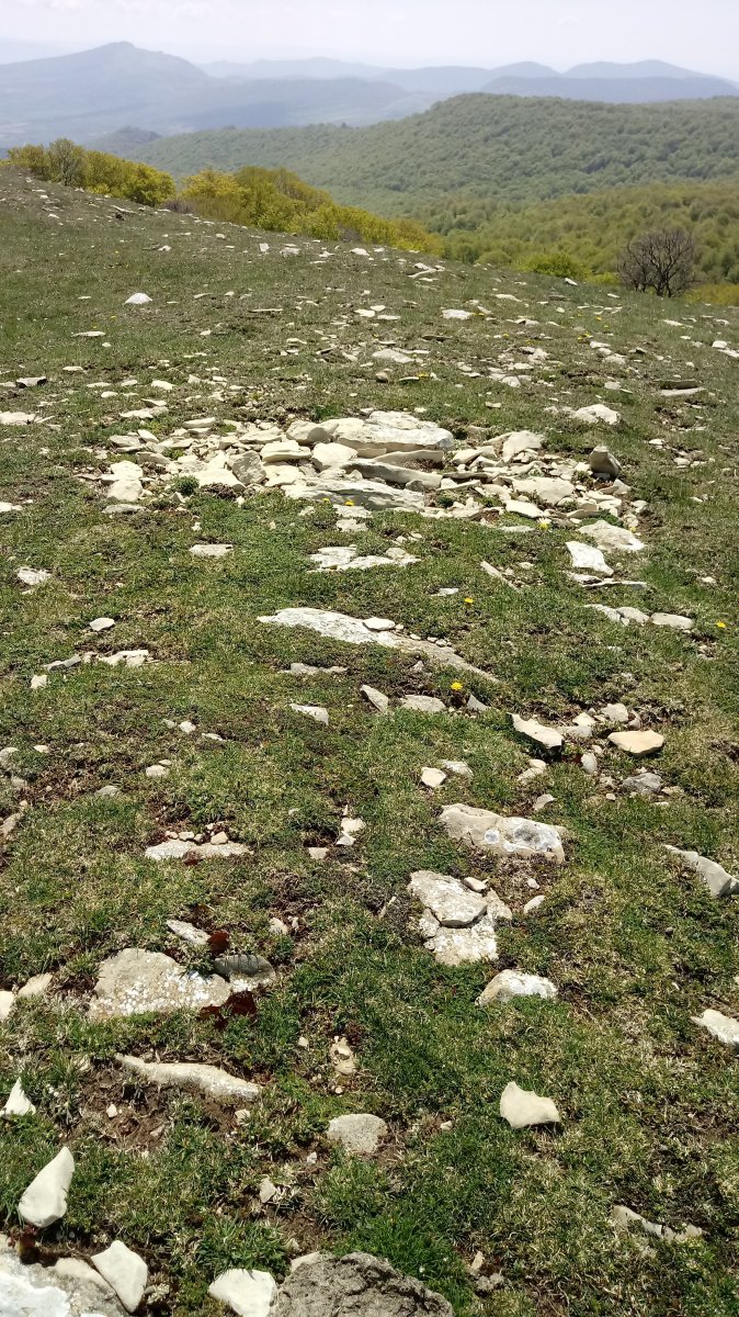 Peña Elordia eraztun-tumuloa 2