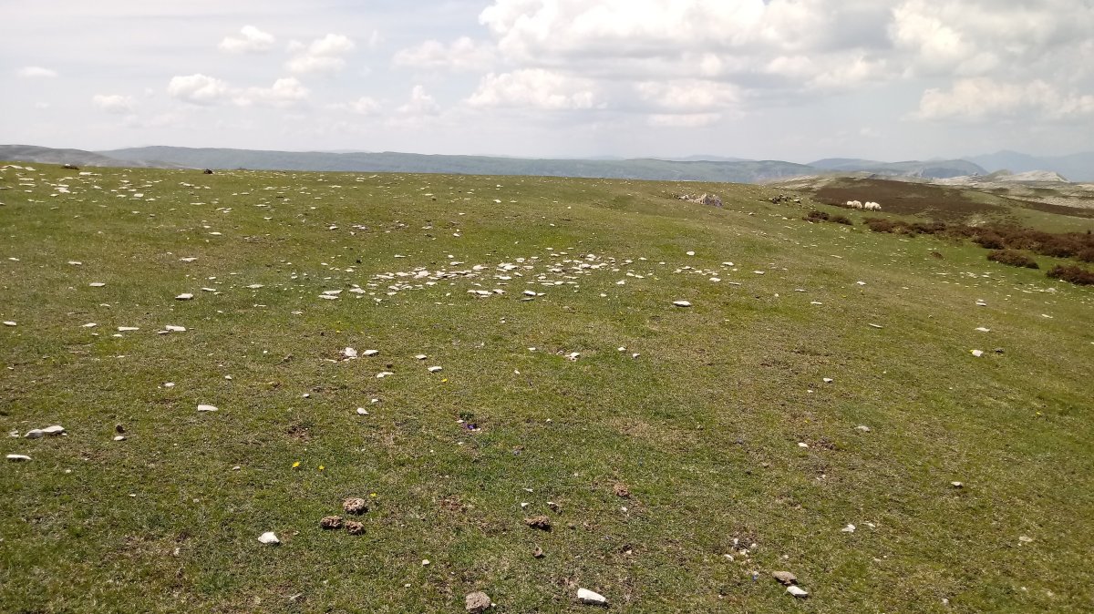 Eskalaborro tumuloa (2018)