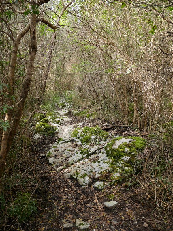 Maruara igotzen den bidezidorra