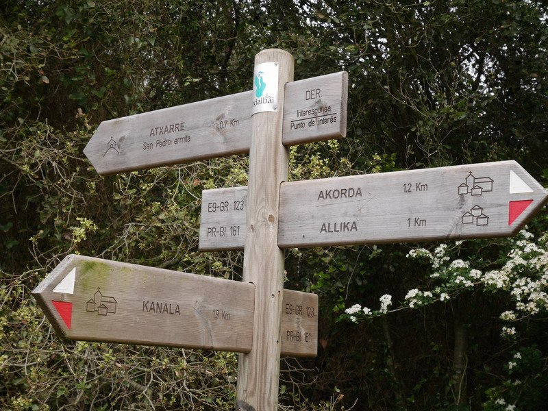 Seinaleak Dantzaleku lepoan