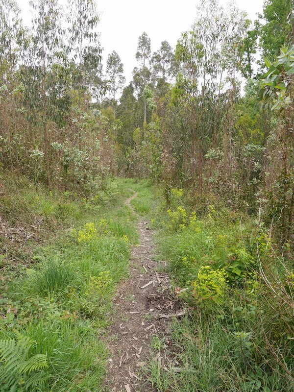 Atxarretik Gametxorantz jeisten