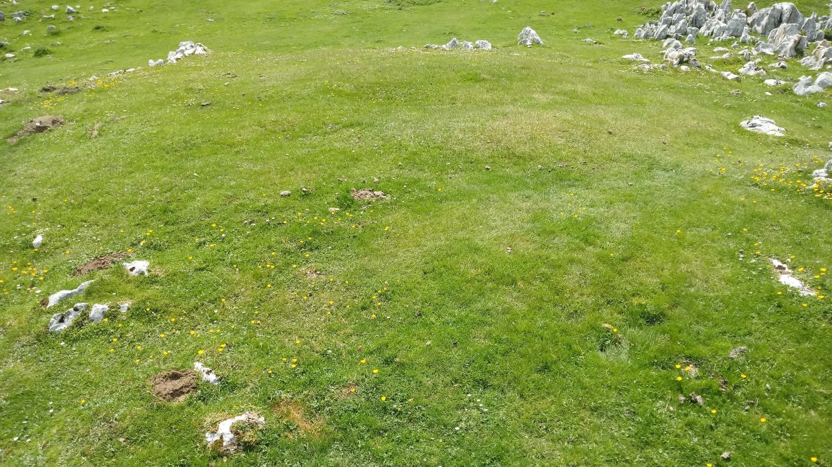 Kalparmunobarrena II tumuloa 2