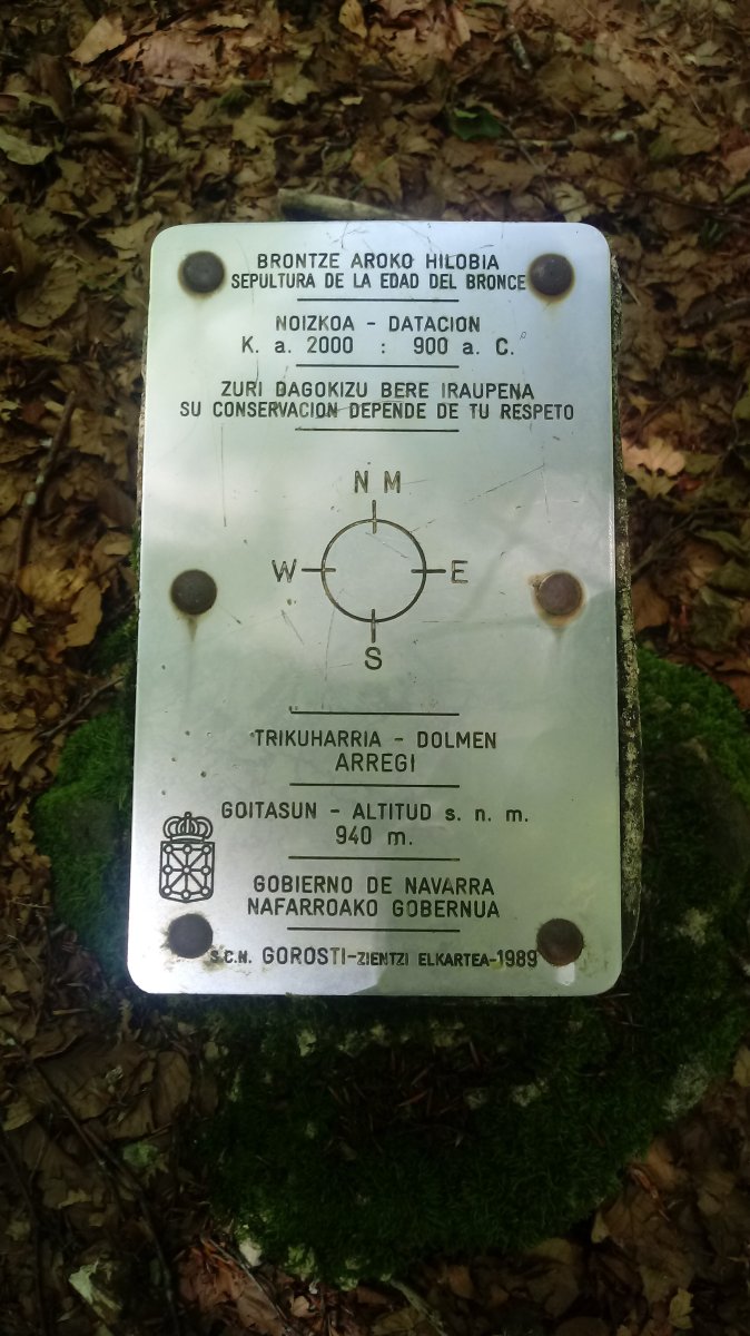 Arregi trikuharria (2018)