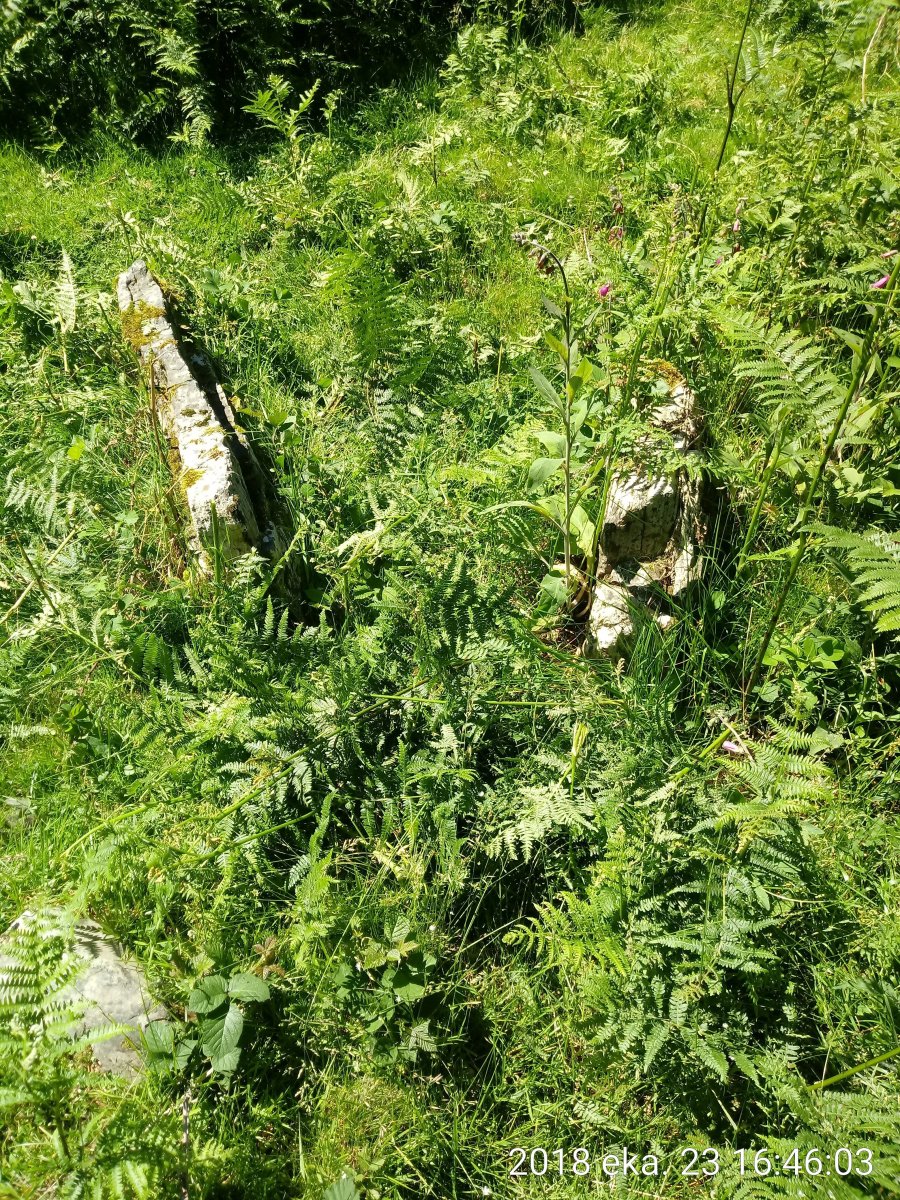 Asundegi triikuharria 2