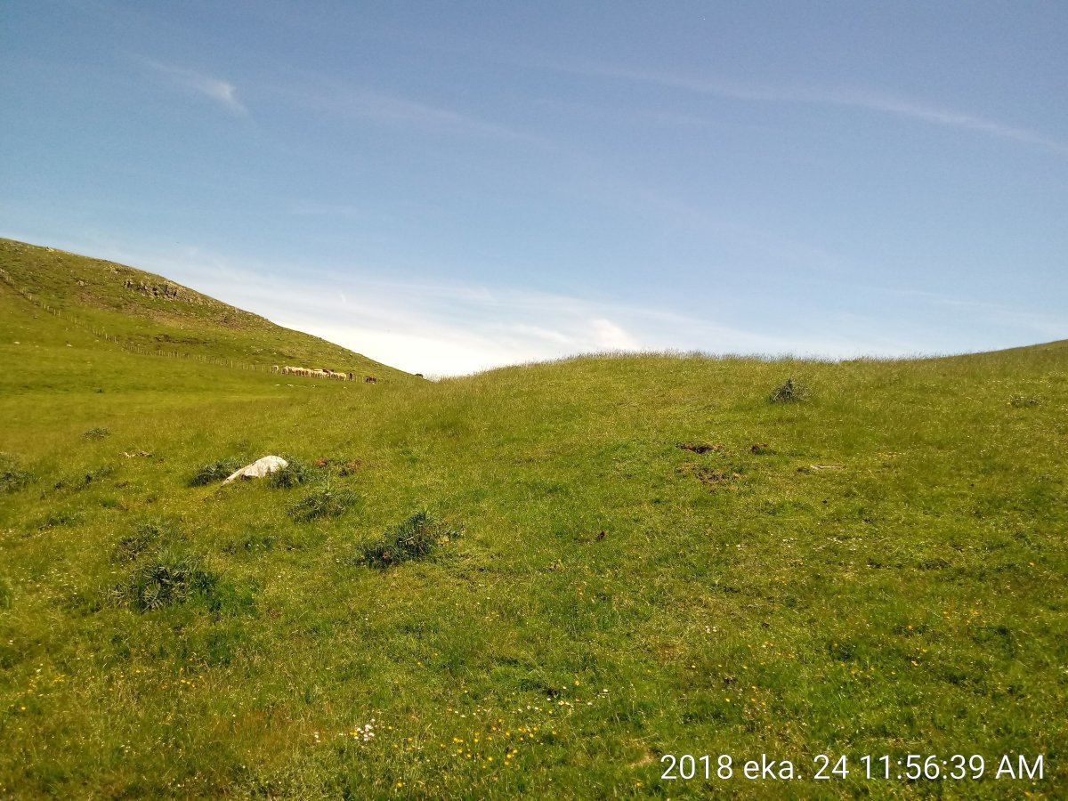 Ezpelondo etxola-hondoa 2