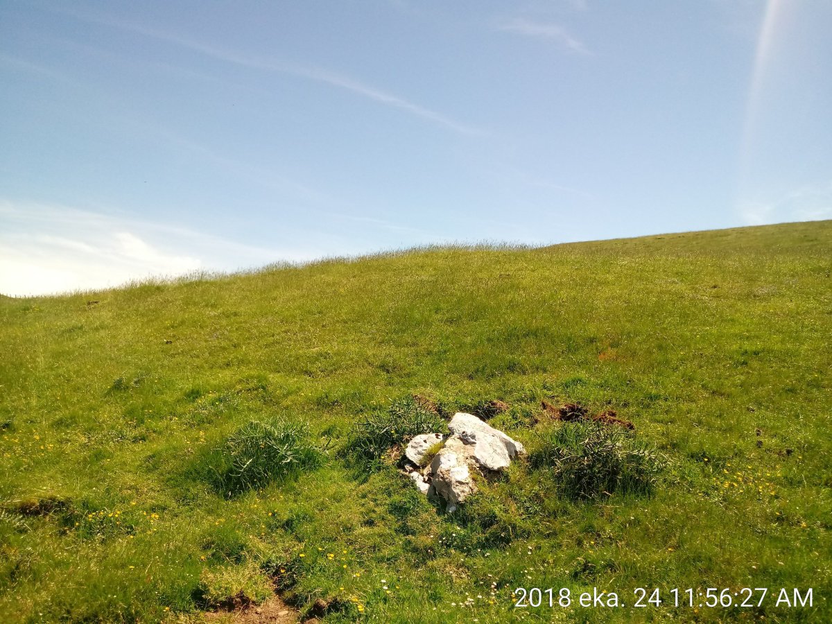 Ezpelondo etxola-hondoa (2018)