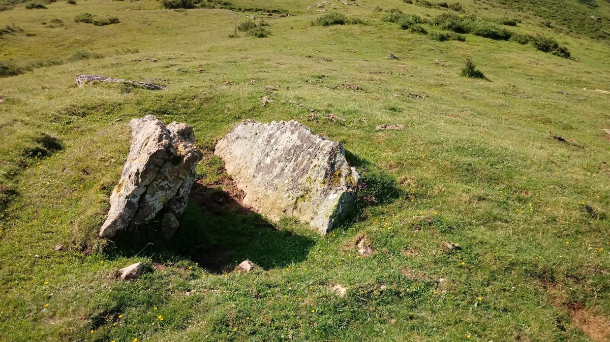 Azpegi III H. trikuharria 3