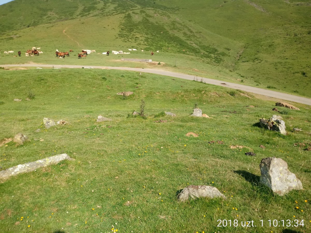 Azpegiko Lepoa harrespilak 6