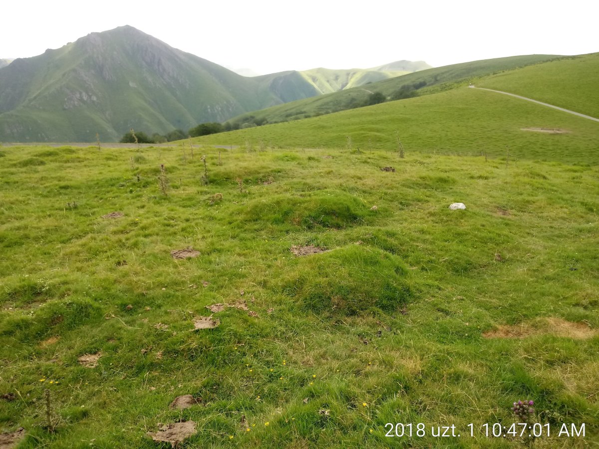 Idopil Ipar harrespila (2018)