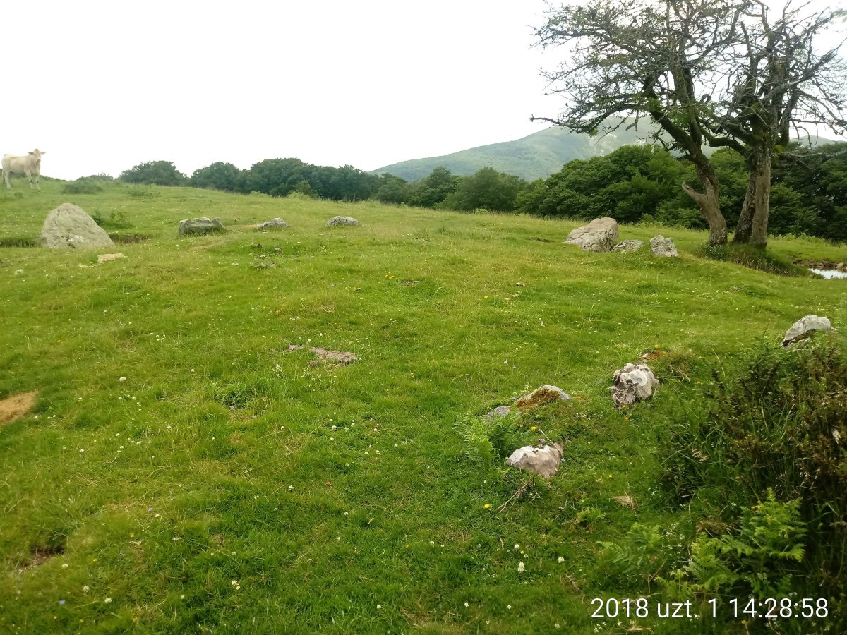 Soroluxe harrespila (2018)