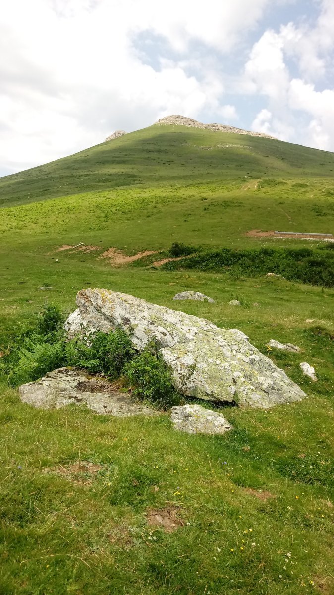 Soroluxe trikuharria 2