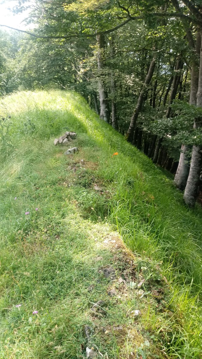 Aasko (835m) tontorra