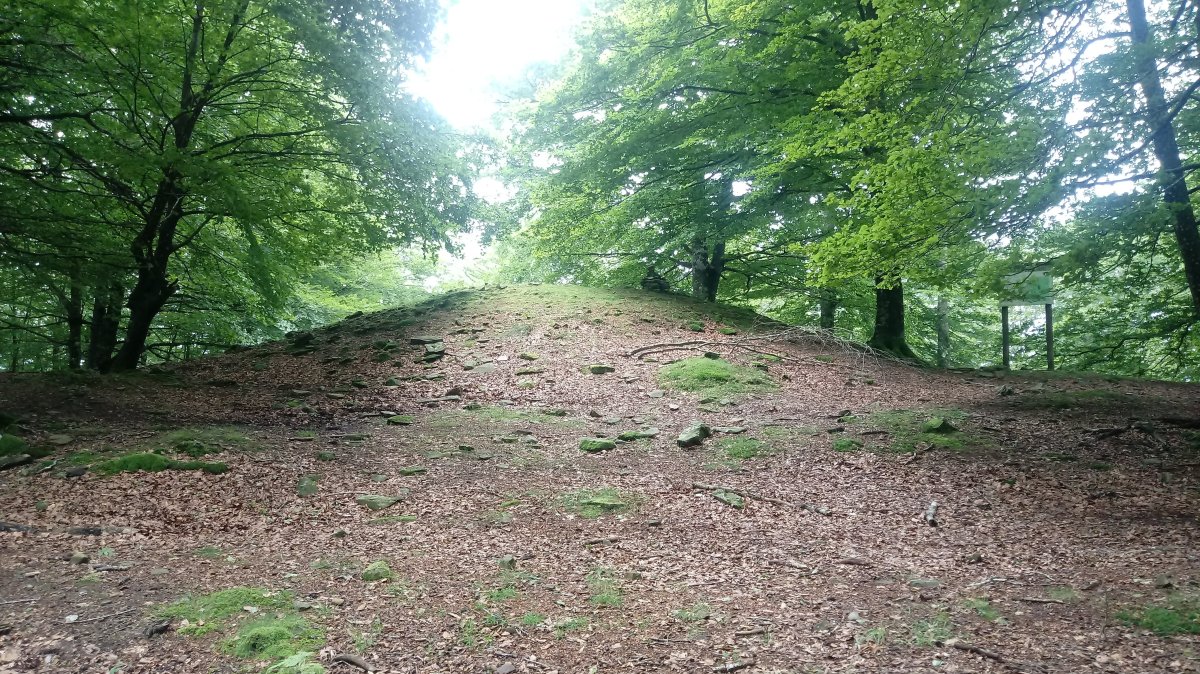 Txaradigorri (994m) Tontorra eta bertan dagoen trikuharria.jpg