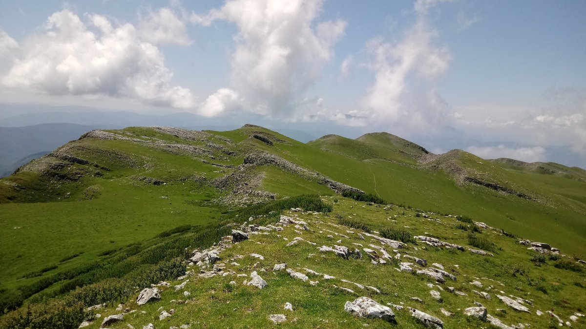 Uarrain Malkorra gandorra