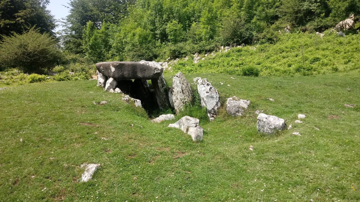 Jentilarri trikuharria (2018)