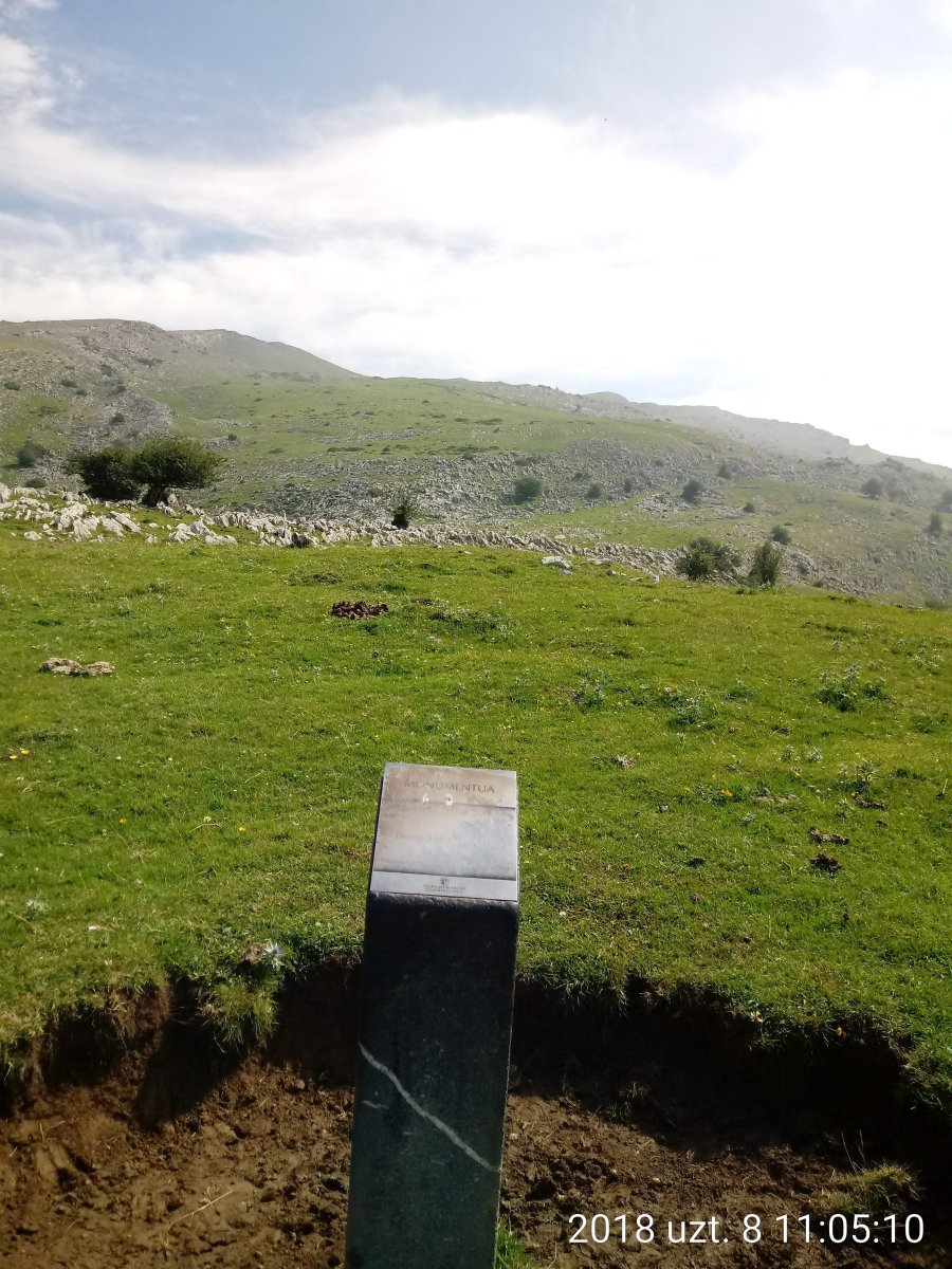 Uelogoena II H. trikuharria 4