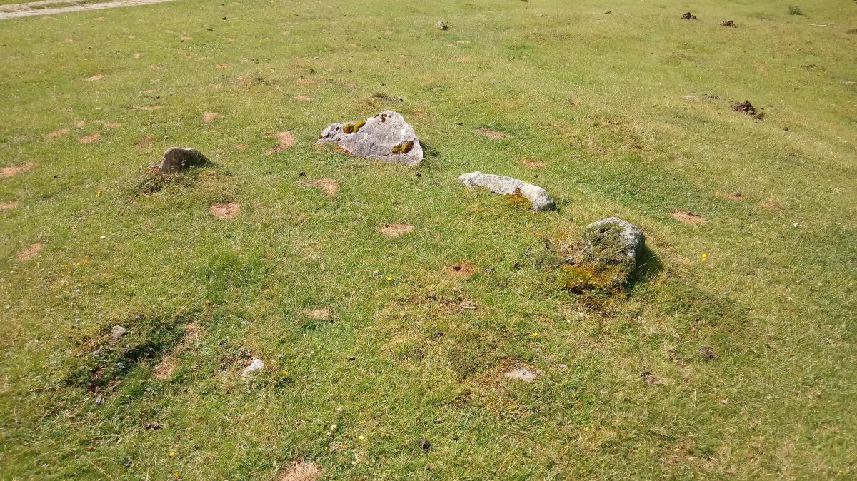 Zelaibizkar I harrespila (2018)