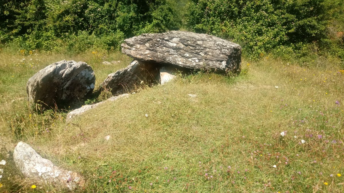 Arrako trikuharria 5