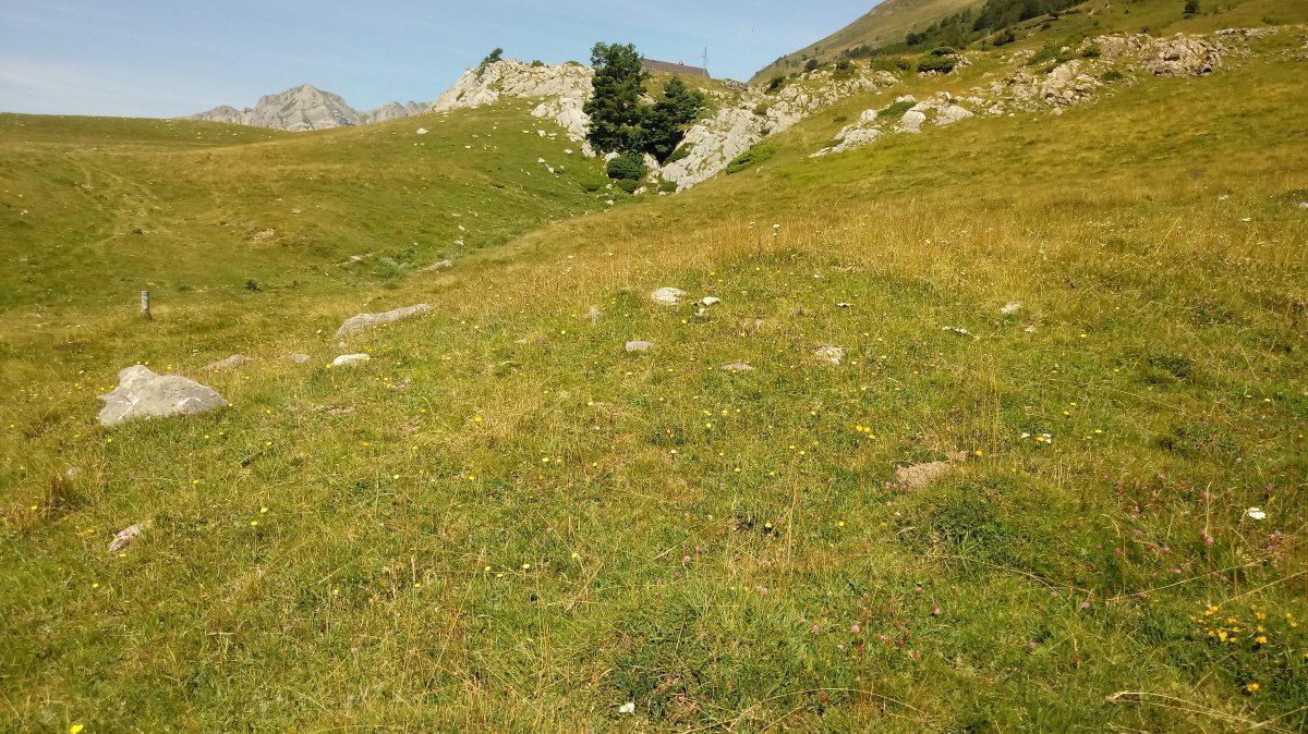 Eskilzarra I tumuloa (2018)