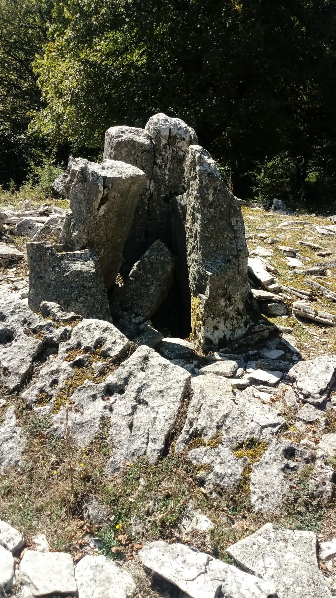 La Cañada trikuharria 3