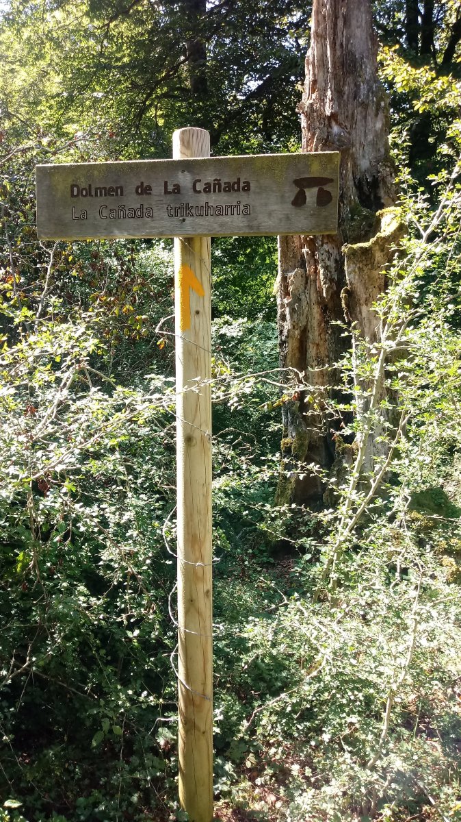 La Cañada trikuharria (2018)