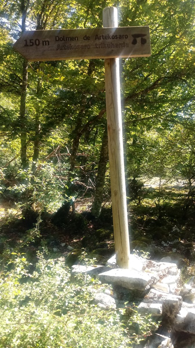 Arteko Saroa trikuharria 10