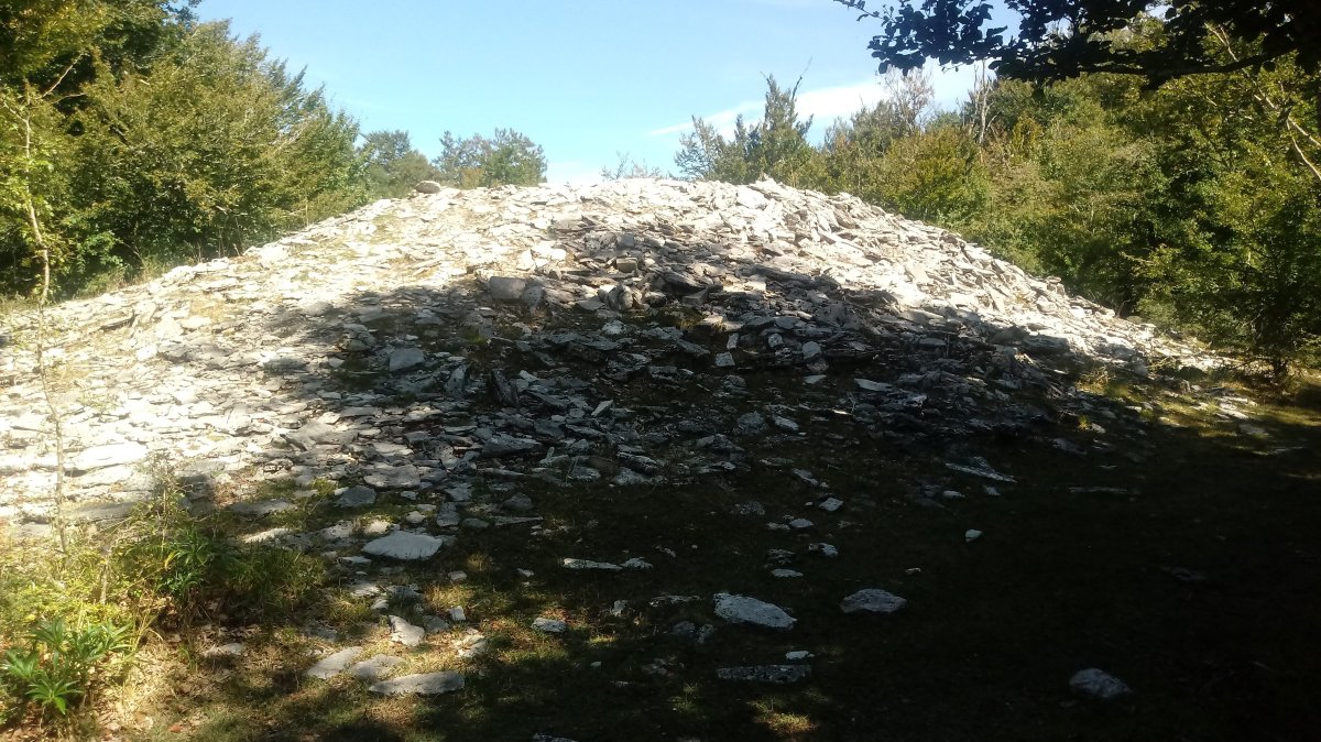 Arteko Saroa trikuharria 9