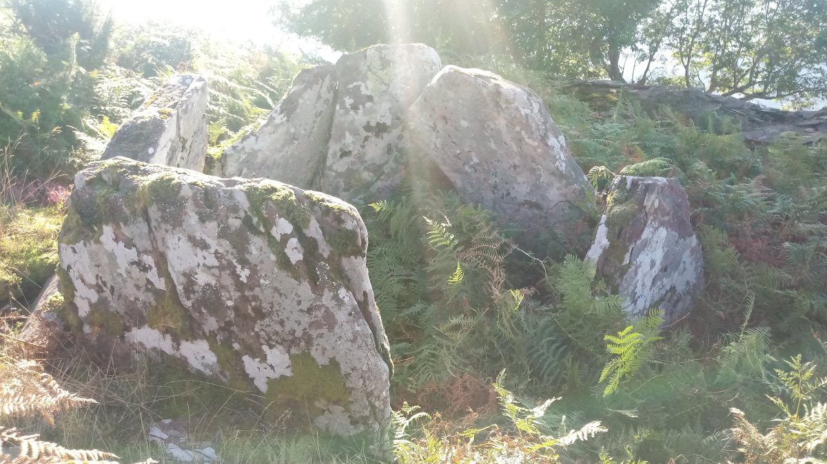 Baikuntzeko Etxola trikuharria 2