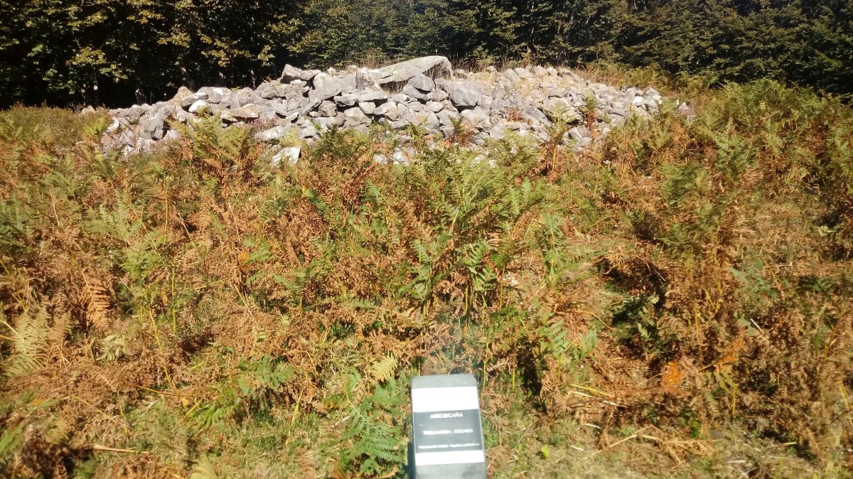 Arrobigaña trikuharria (2018)