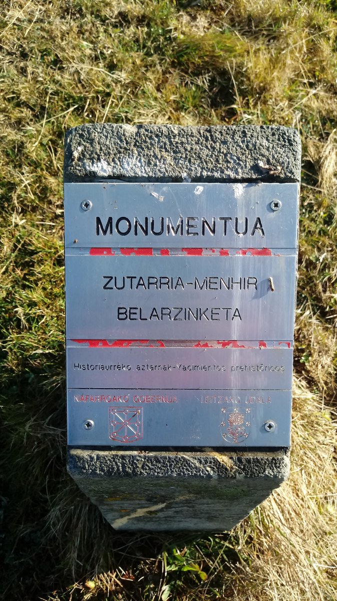 Belarzinketa zutarria (2018)