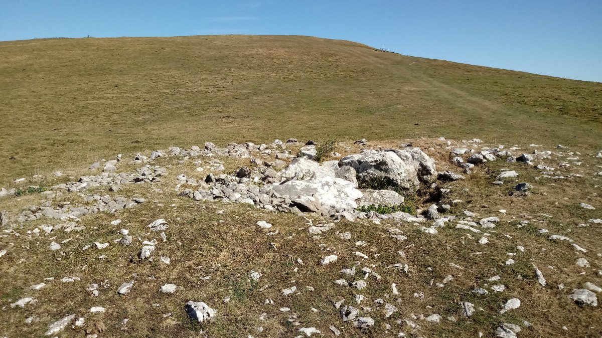 Bi Ahizpen Sepulture (Leizegi) trikuharria 6